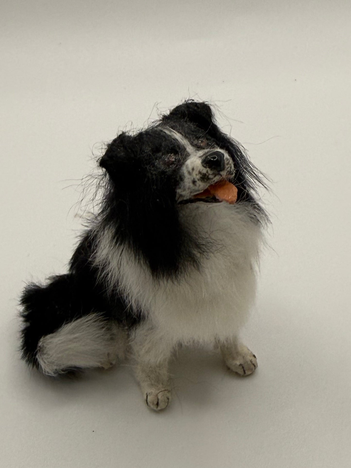 Small black and white dog lying on a light gray floor