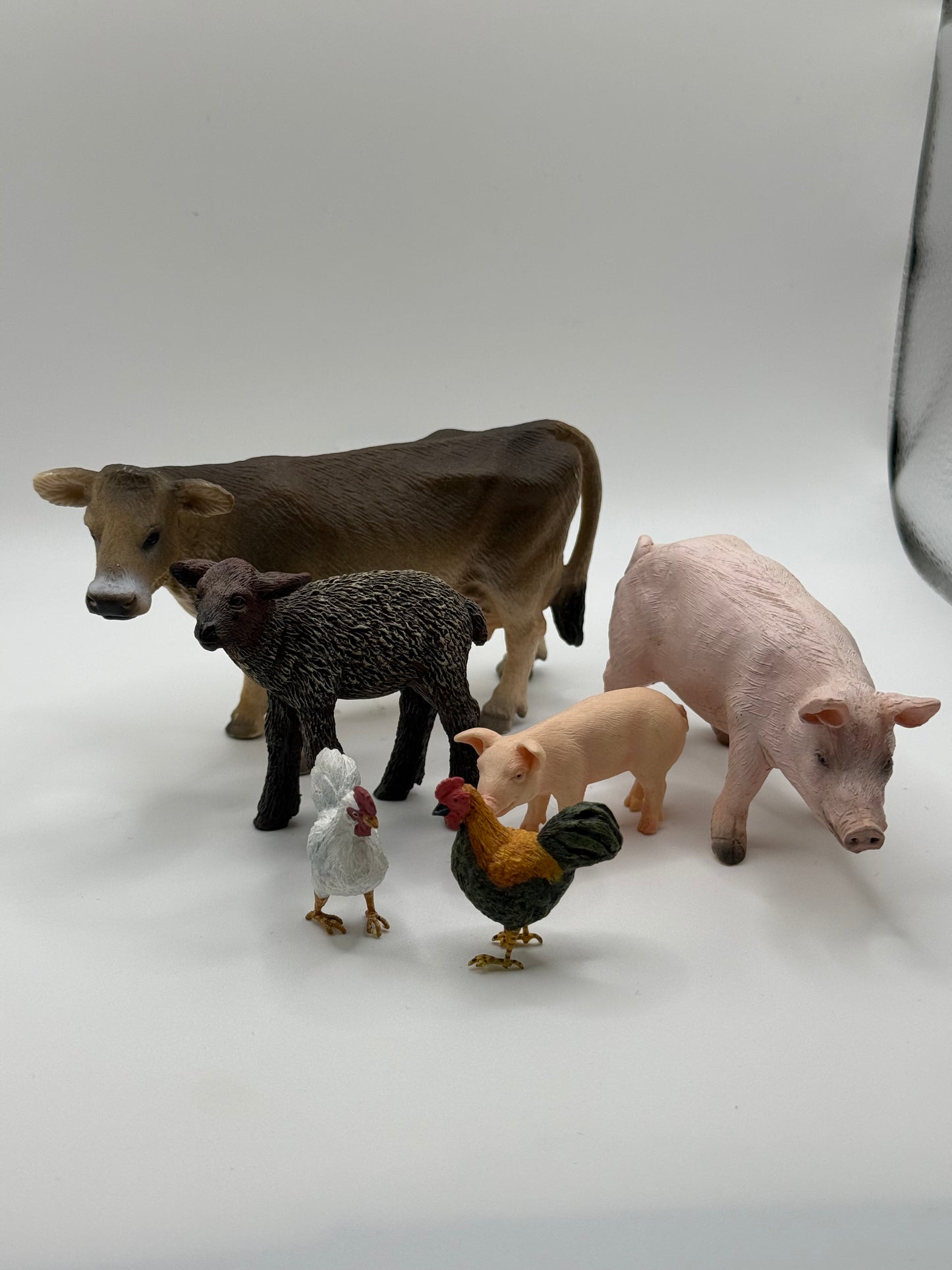 Farm Animals