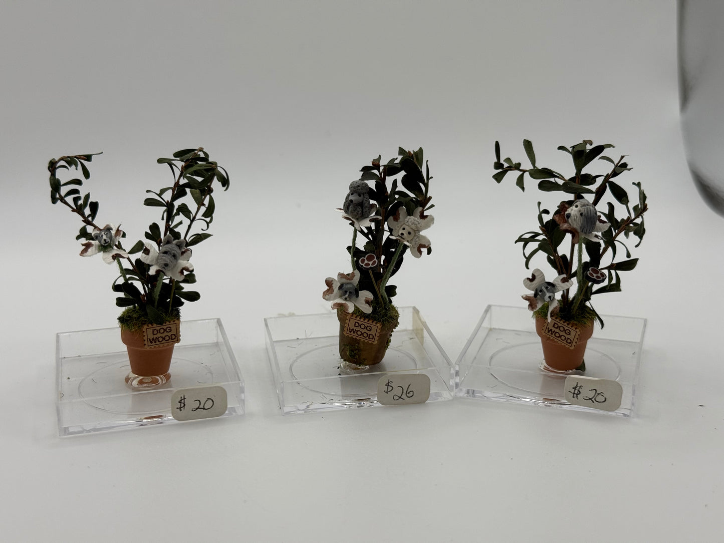 3 Dogwoods