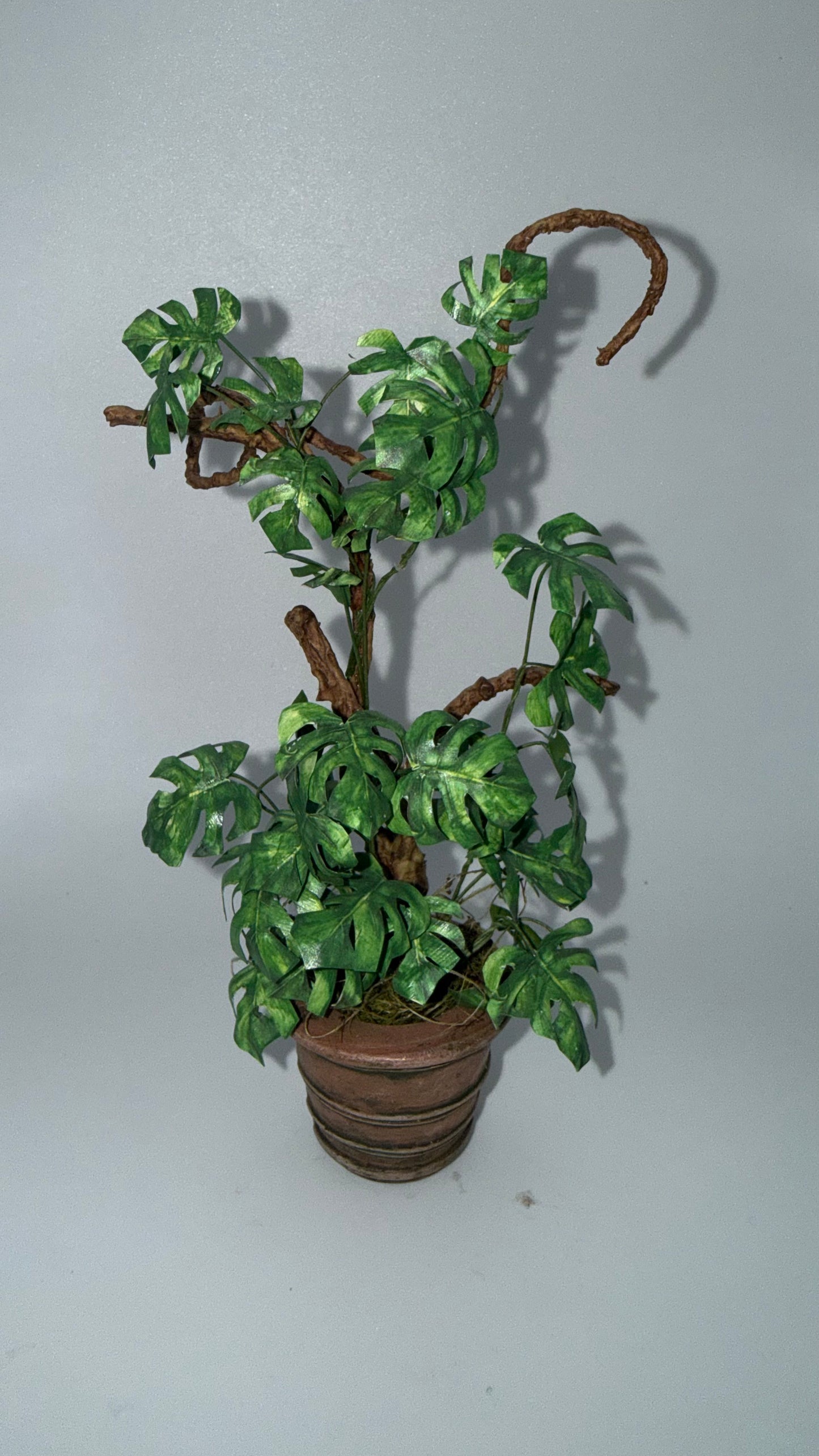 Marie Petrik Plant