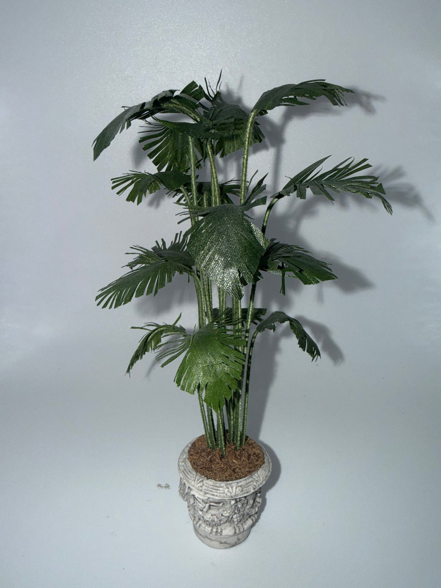 Palm Tree