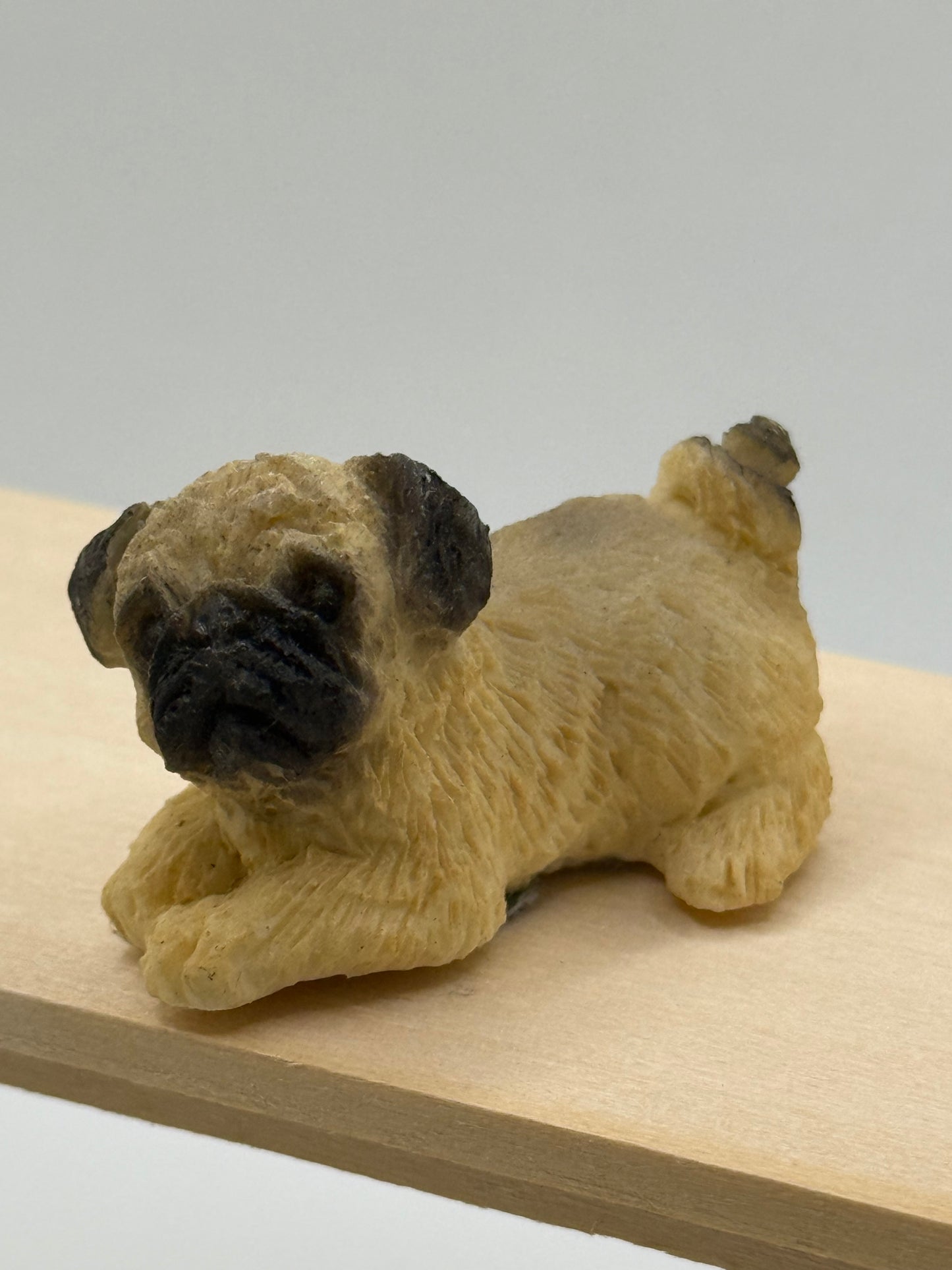 Pug