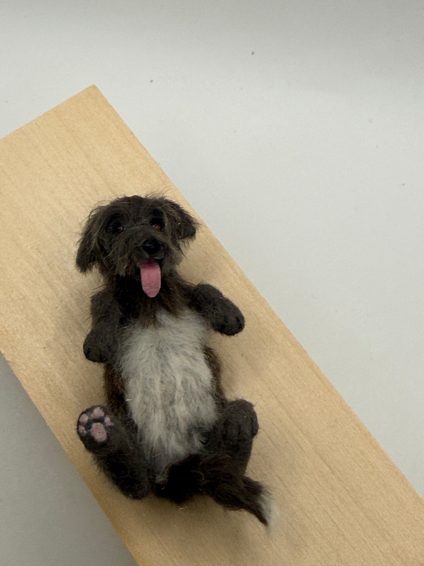 Annie Willis Dog