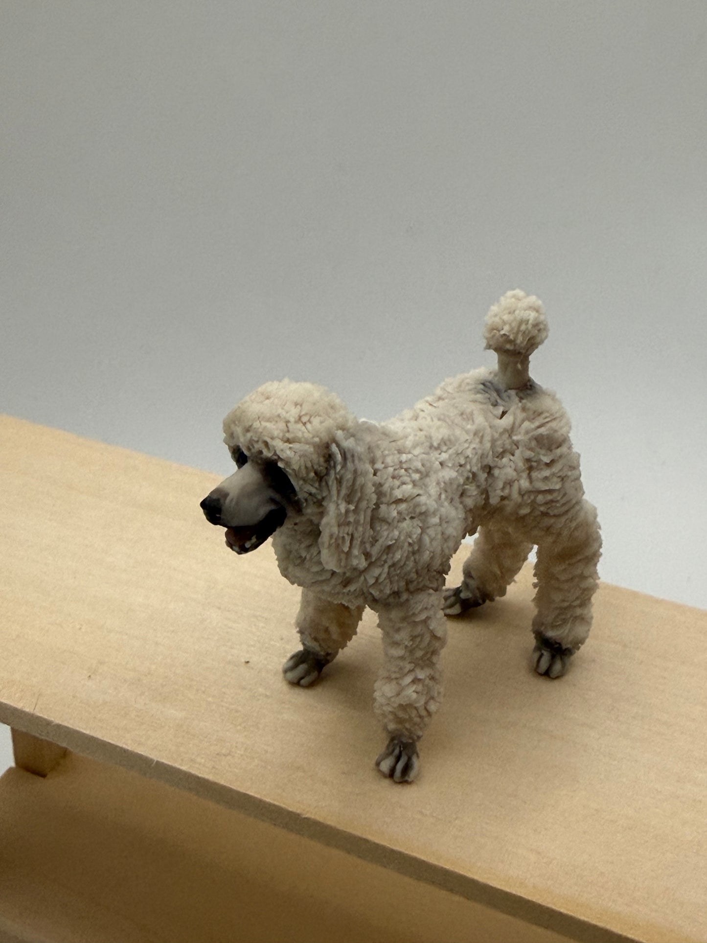 Poodle