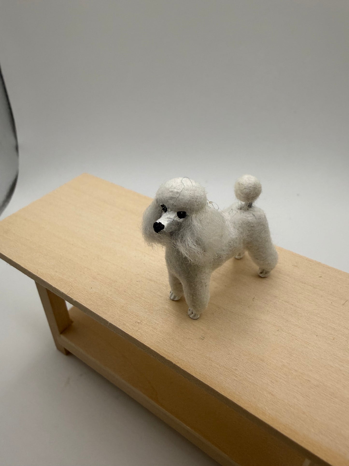 Karl Blindheim poodle