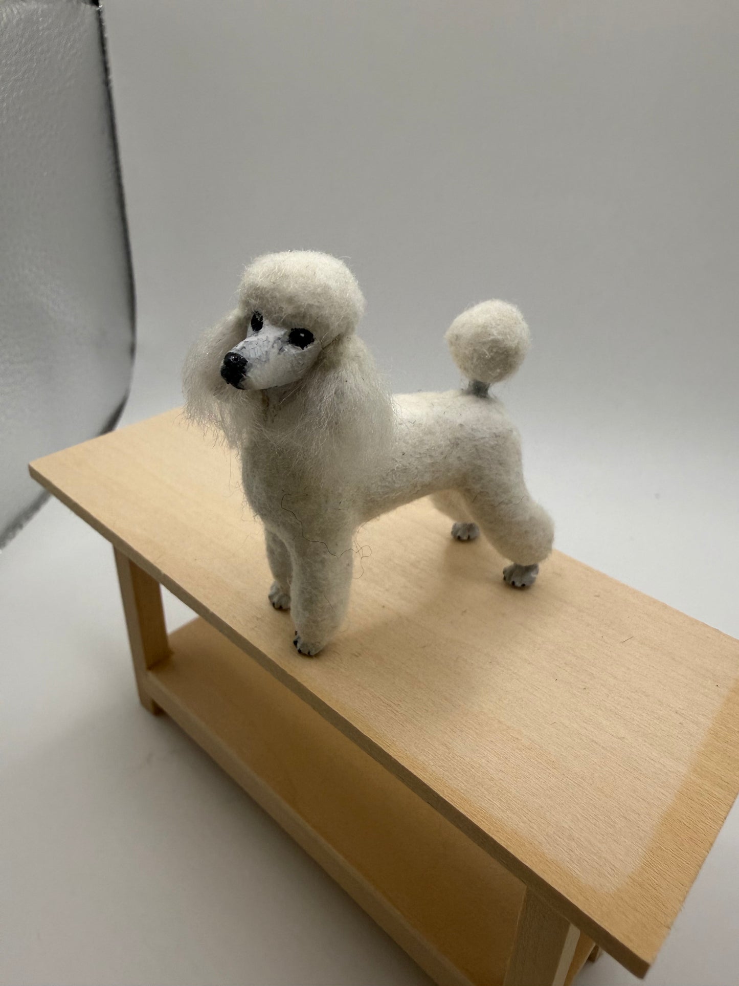 Karl blindhiem poodle