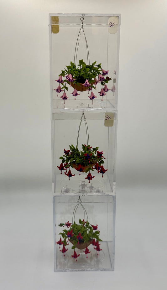 Garden Flowers