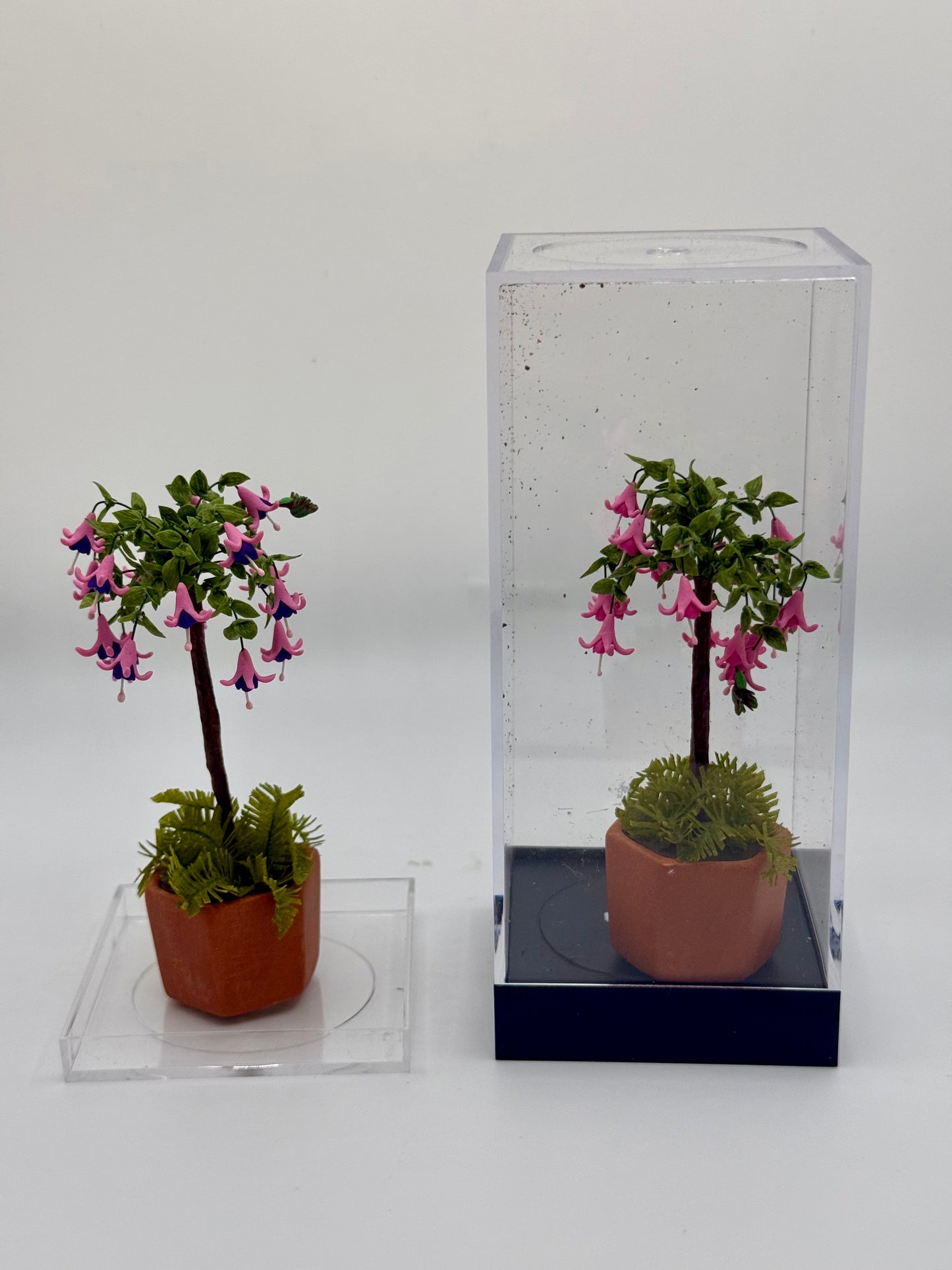 Garden Flowers