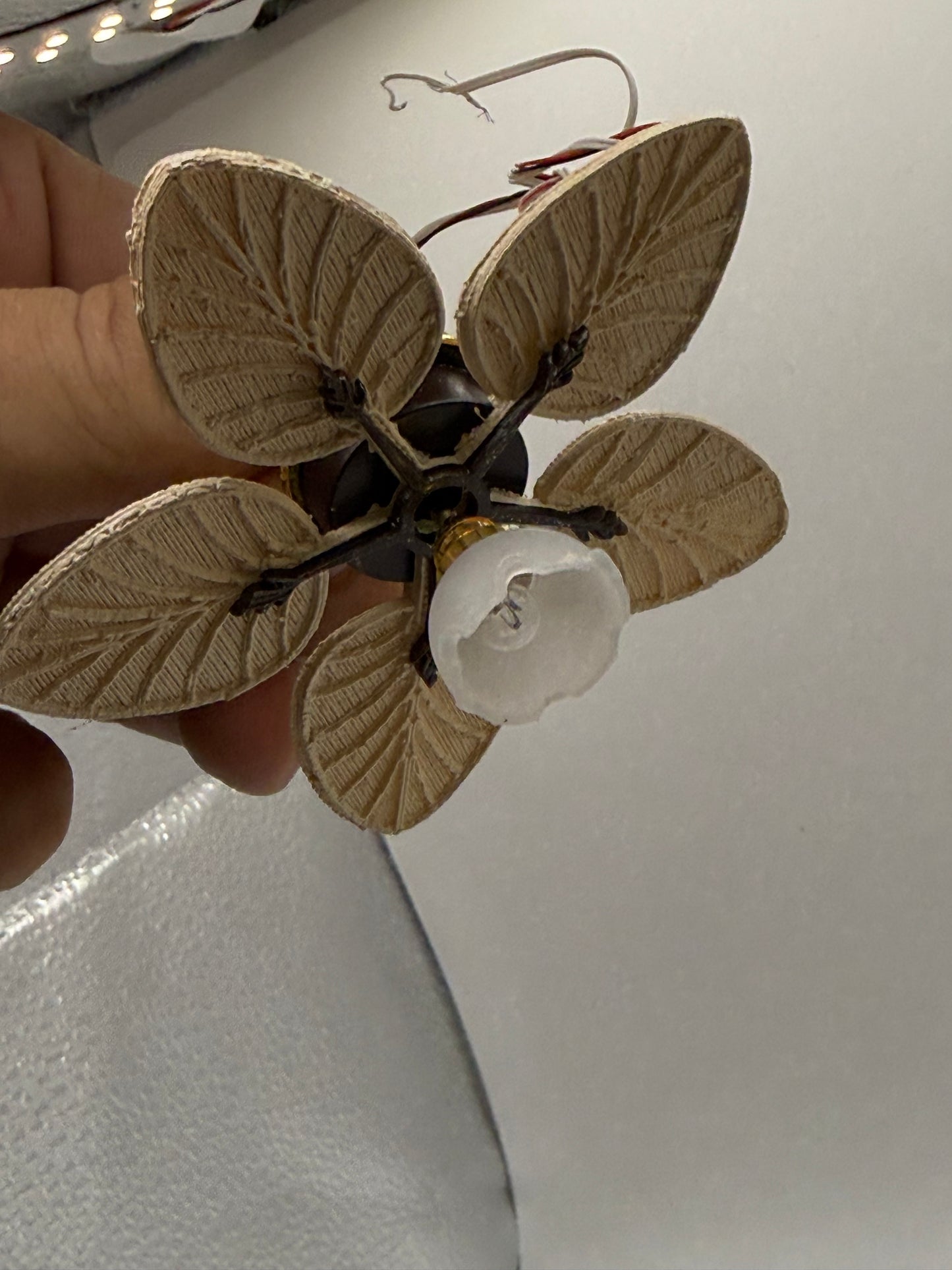 Tulip Fan