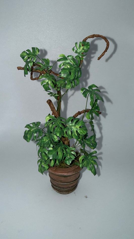 Marie Petrik Plant