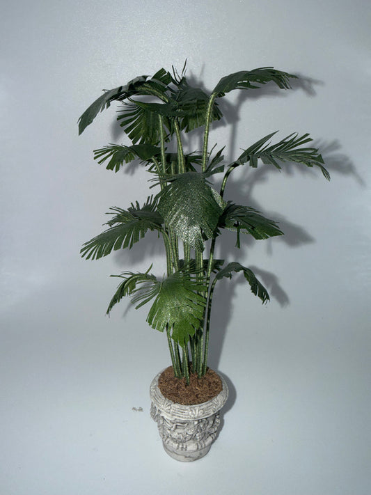 Palm Tree