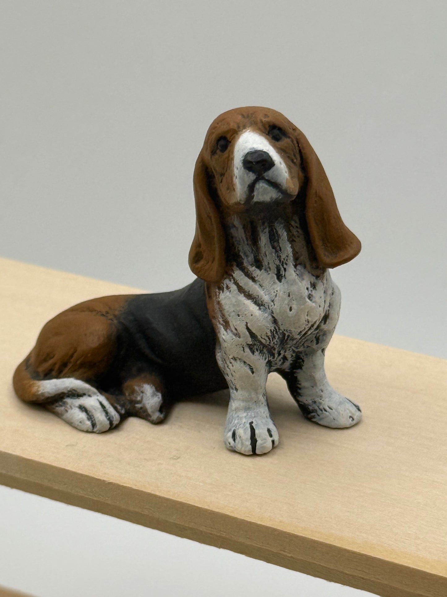Basset Hound