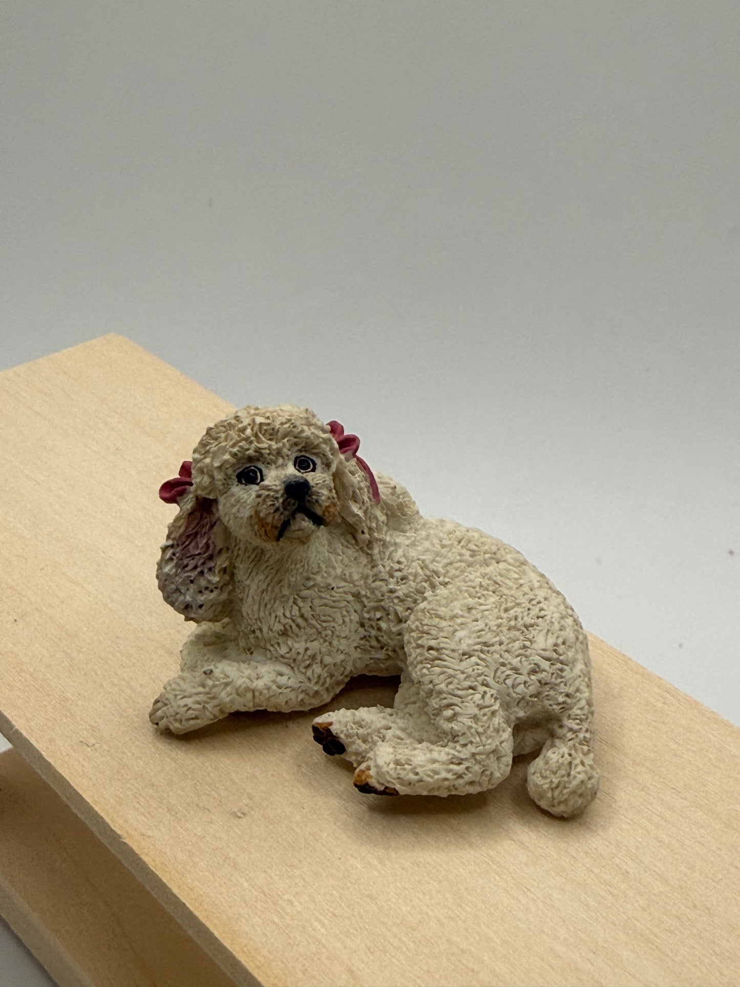 Poodle