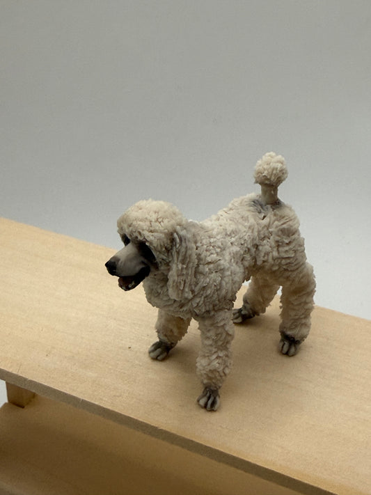 Poodle