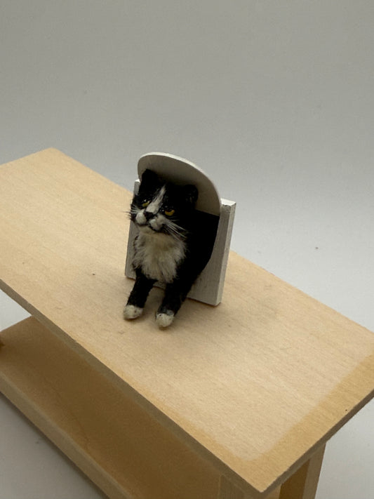 Annie Willis Cat