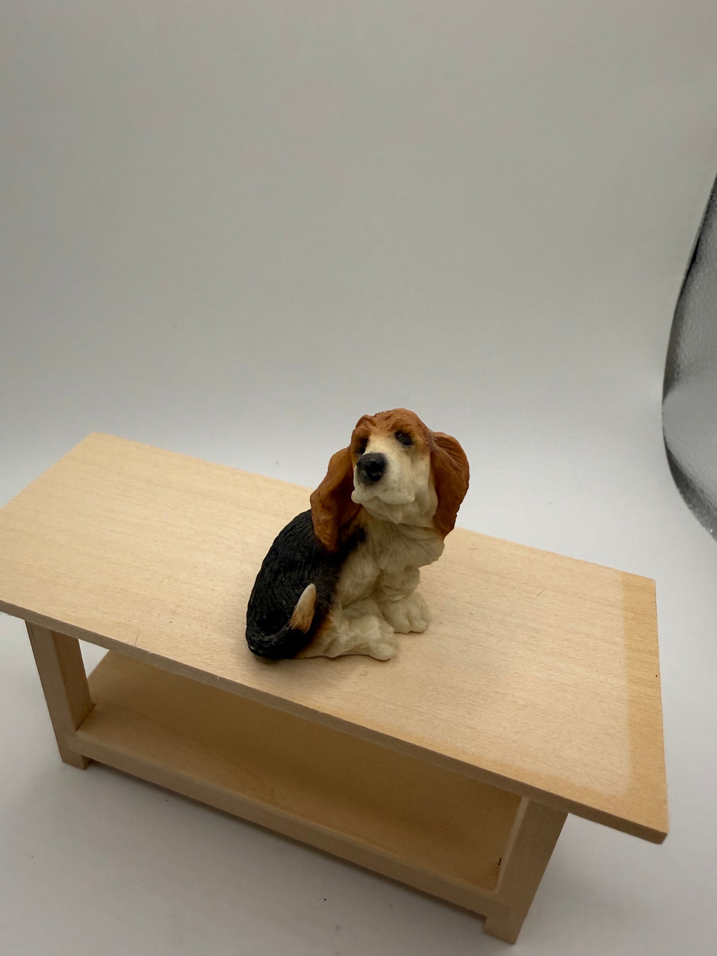 basset hound
