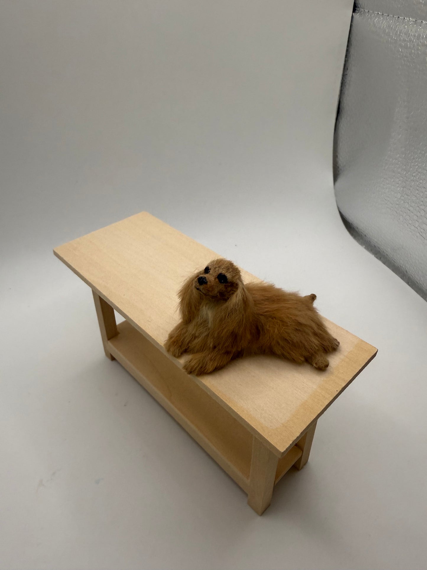 Annie Willis Dog