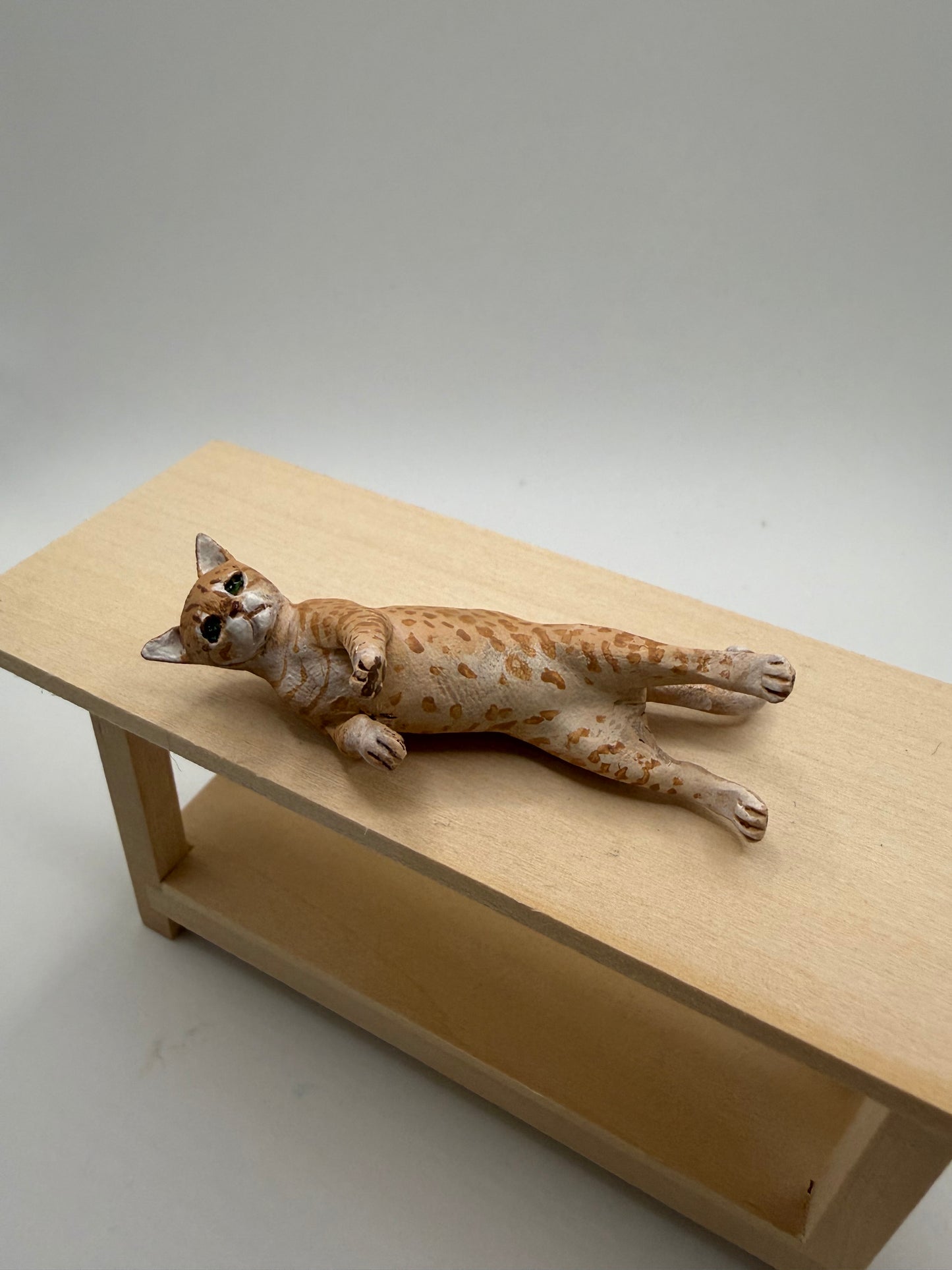 Karl Blinheim cat