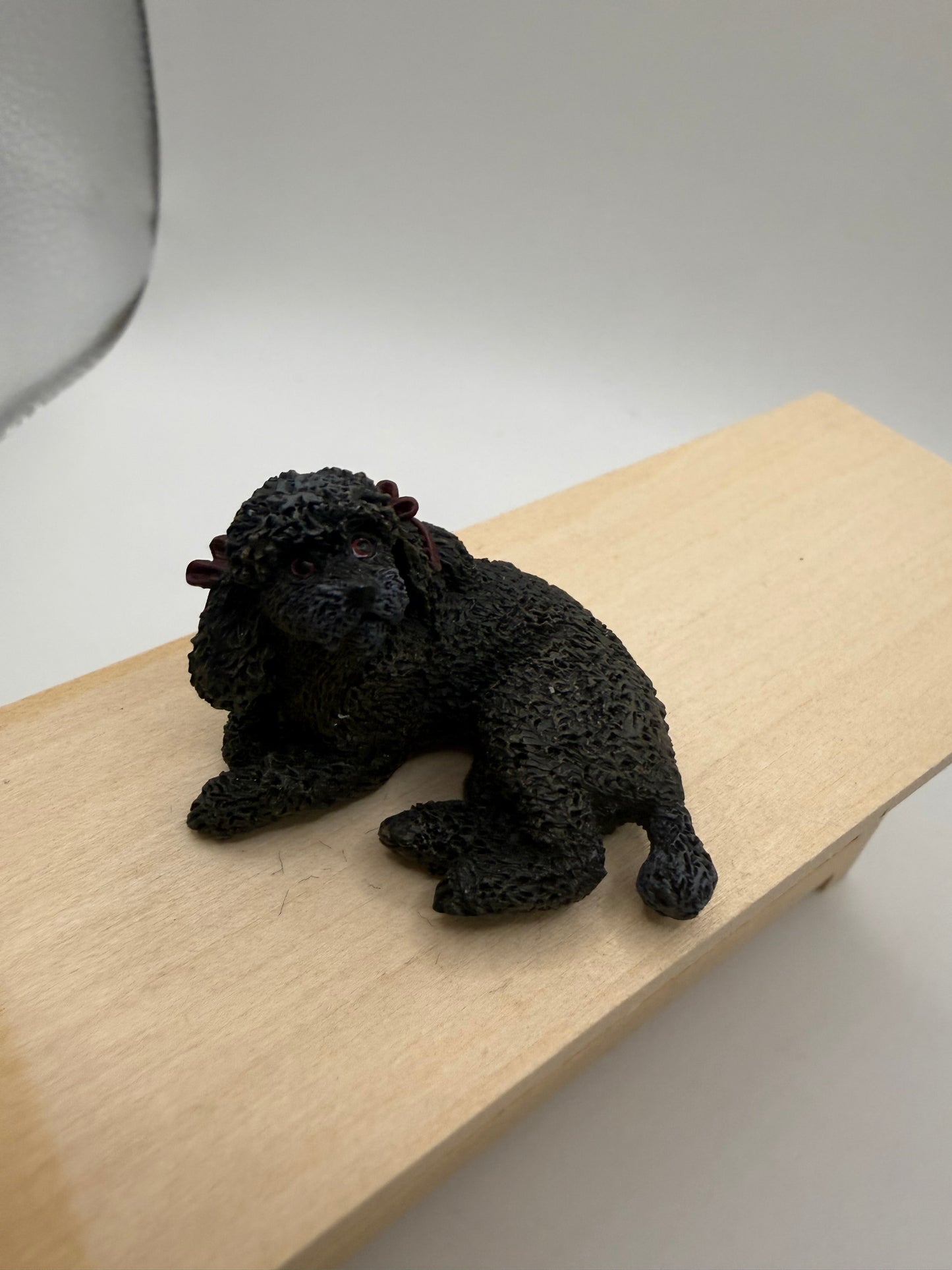 Black Poodle