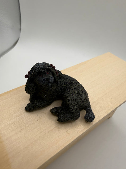 Black Poodle
