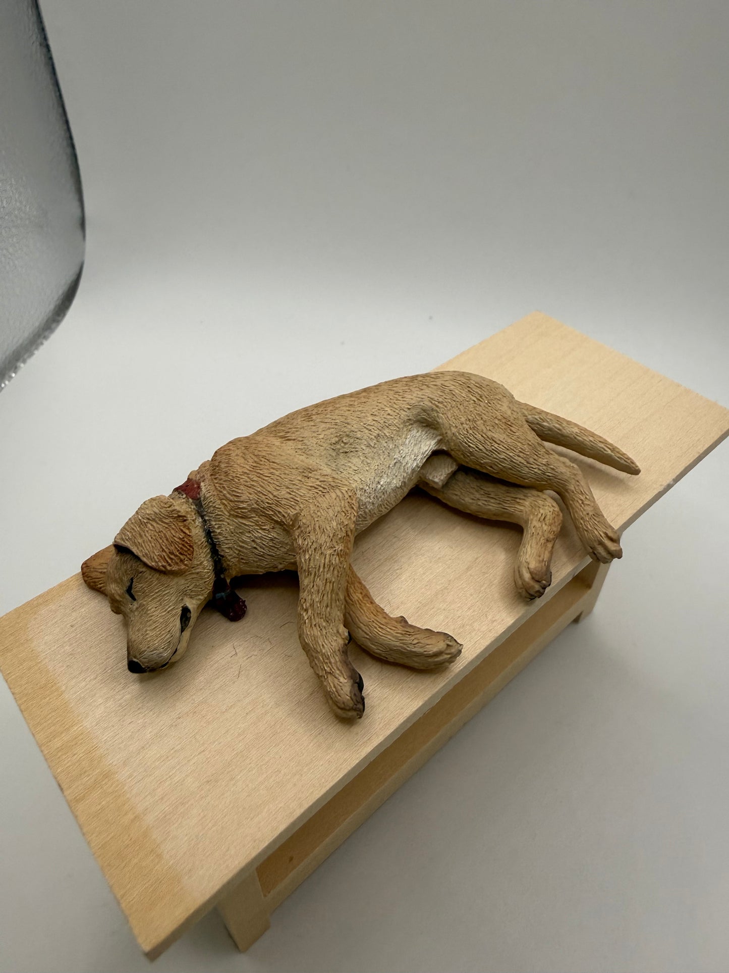 Lab dog