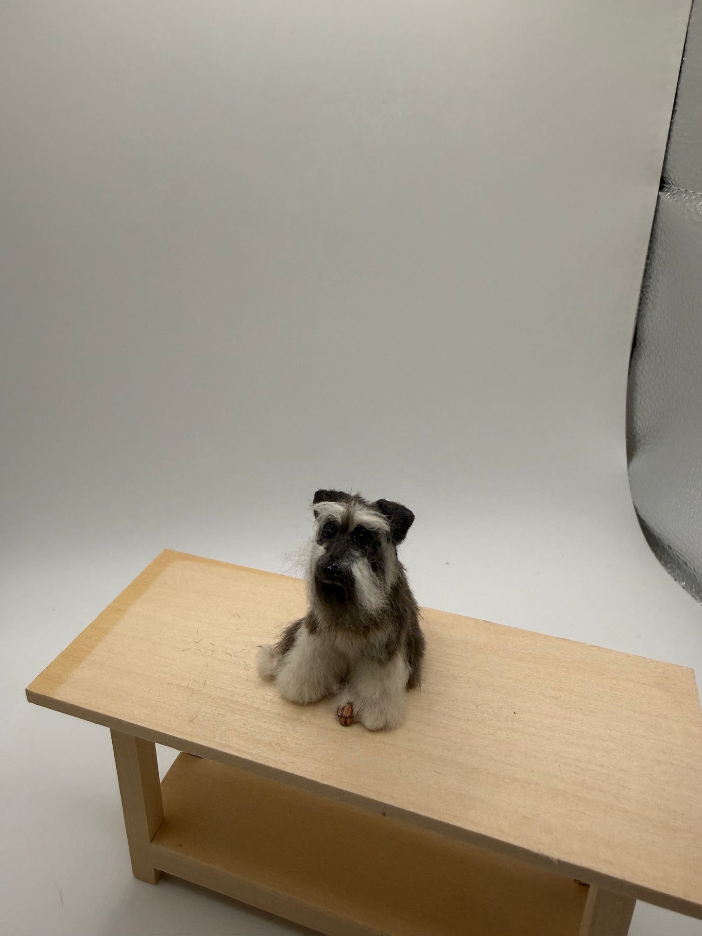 Annie Willis Dog