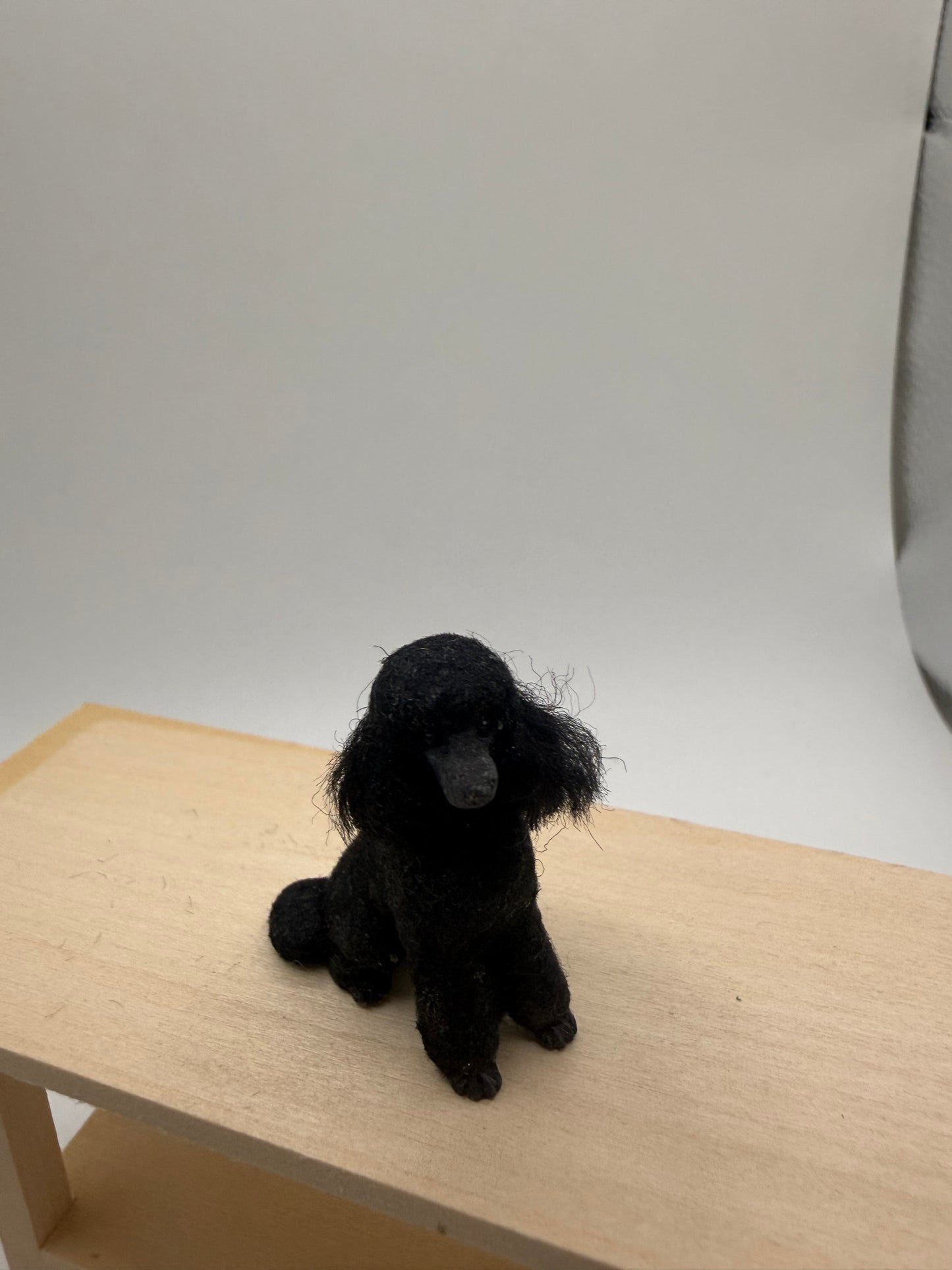 Karl Blindhiem Dog